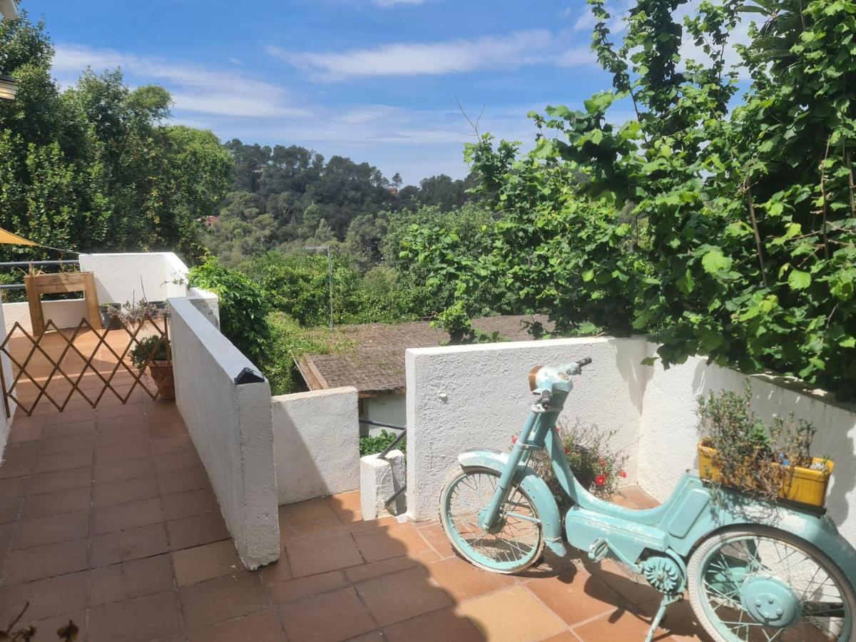 Nature Oasis Near Barcelona With Swimming Pool Parties Not Allowed Sant Cugat del Vallès Zewnętrze zdjęcie